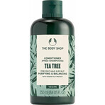 The Body Shop Conditioner for Oily Hair Tea Tree 1×250 ml, conditioner