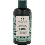 The Body Shop Conditioner for Oily Hair Tea Tree 1×250 ml, conditioner