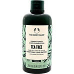 The Body Shop Conditioner for Oily Hair Tea Tree 1×250 ml, conditioner