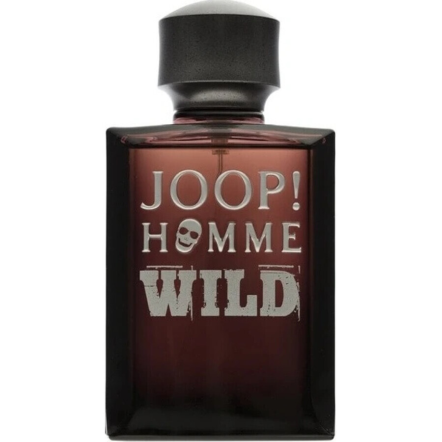 Joop Homme Wild Edt 125ml 1×125 ml, eau de toilette