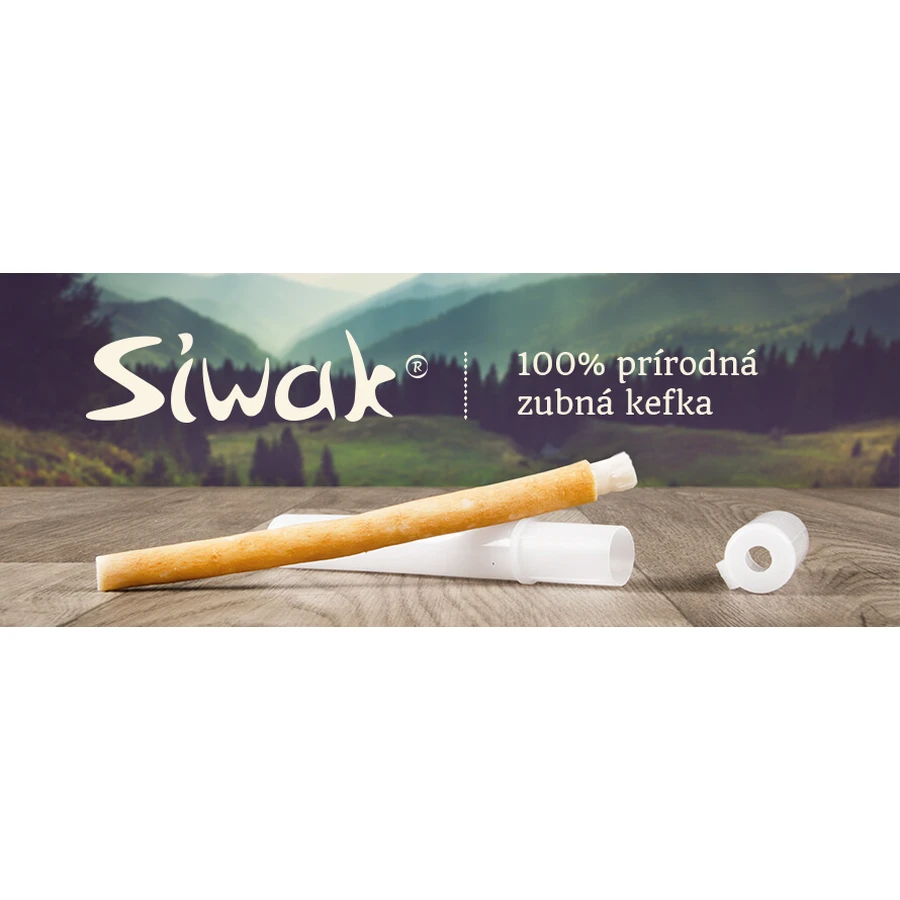 Siwak natural toothbrush + box 1×1 pc, toothbrush