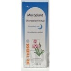 Mucoplant Weegbree oplossing Goede nacht weegbree oplossing 1×100 ml