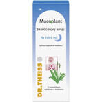 Mucoplant Weegbree oplossing Goede nacht weegbree oplossing 1×100 ml