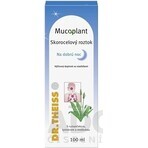 Mucoplant Weegbree oplossing Goede nacht weegbree oplossing 1×100 ml