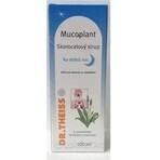 Mucoplant Weegbree oplossing Goede nacht weegbree oplossing 1×100 ml