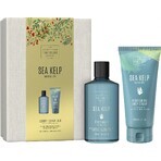 Scottish Fine Soaps Körperpflege-Geschenkset - Seetang 1×1Set