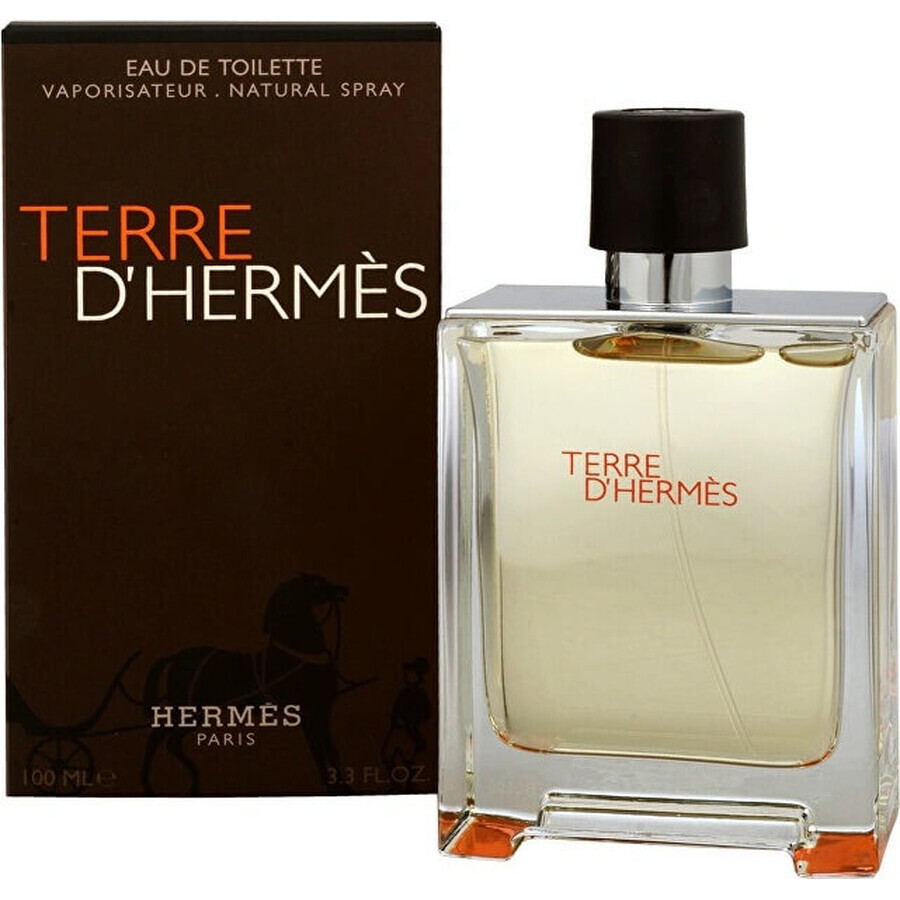 Hermes Terre D Hermes Edt 50ml 1×50 ml, Eau de toilette