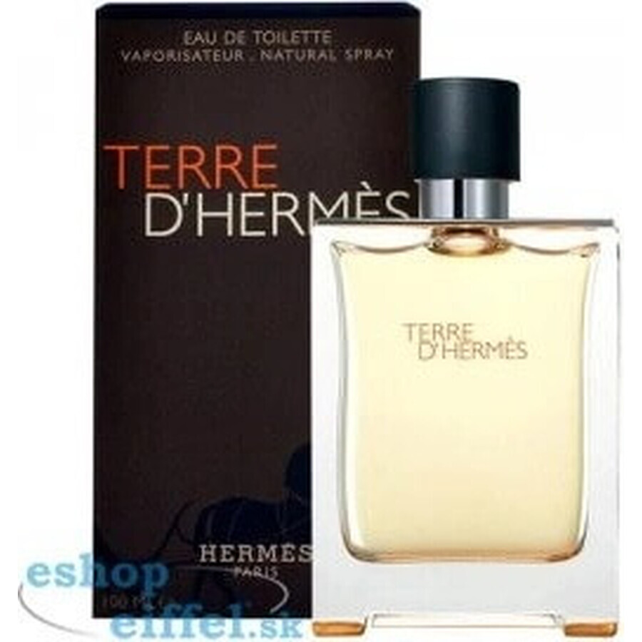 Hermes Terre D Hermes Edt 50ml 1×50 ml, Eau de toilette