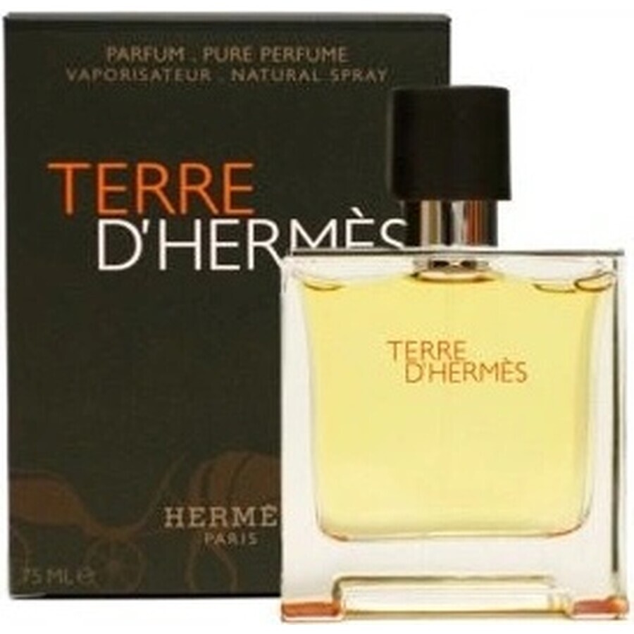 Hermes Terre D Hermes Edt 50ml 1×50 ml, Eau de toilette