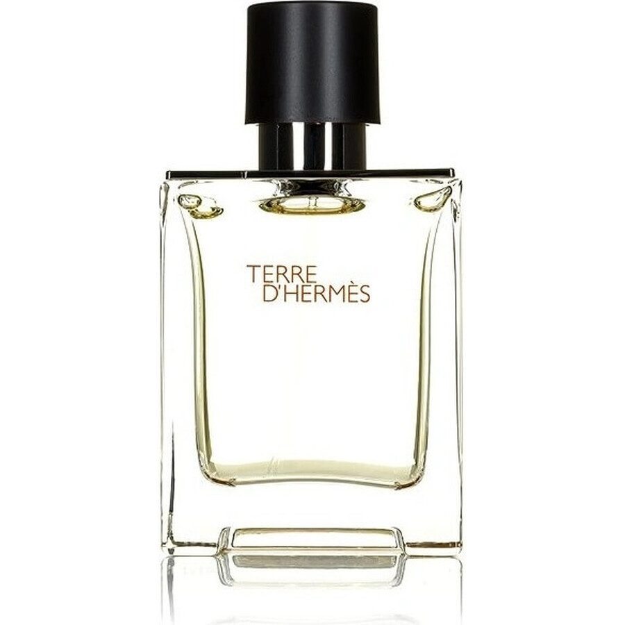 Hermes Terre D Hermes Edt 50ml 1×50 ml, Eau de toilette