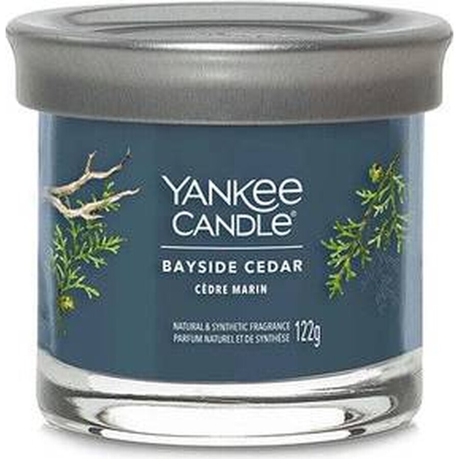 Yankee Candle Signature kleine kaars Bayside Cedar 1×122 g Bayside Cedar 1×122 g, geurkaars