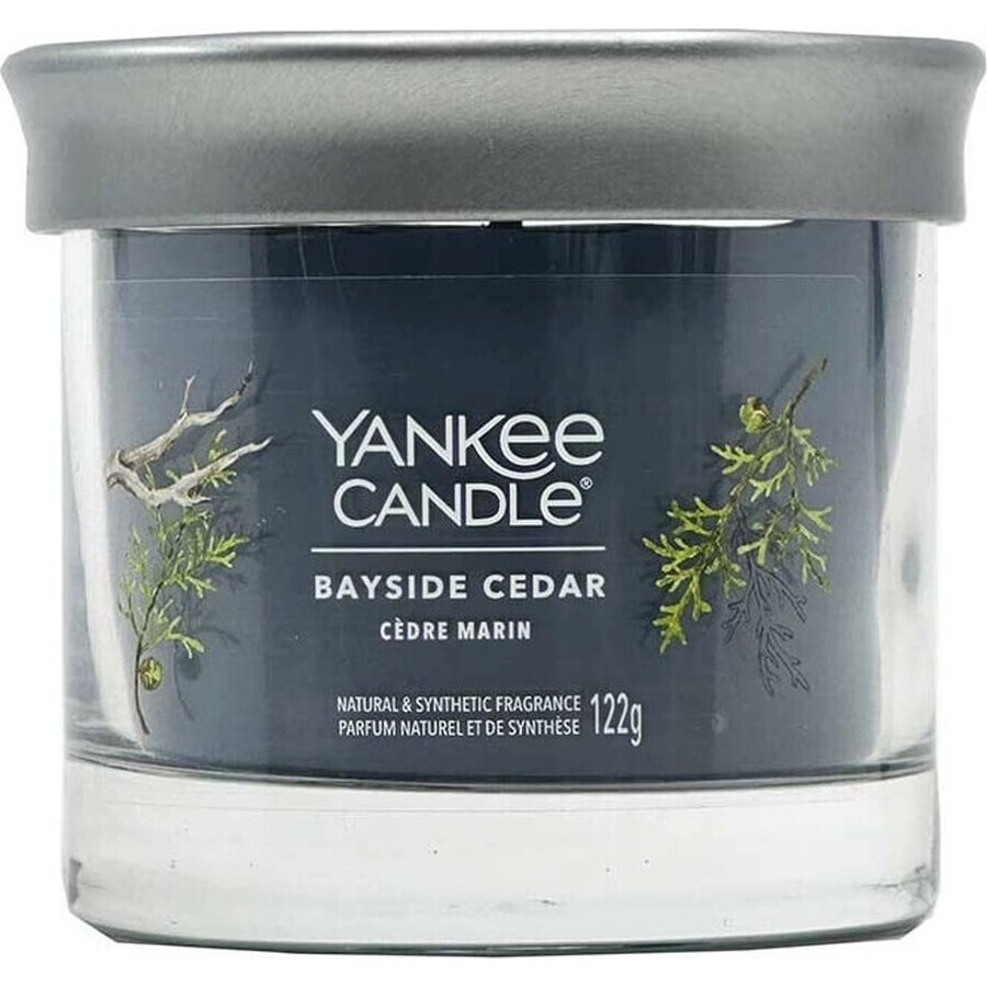 Yankee Candle Signature kleine kaars Bayside Cedar 1×122 g Bayside Cedar 1×122 g, geurkaars