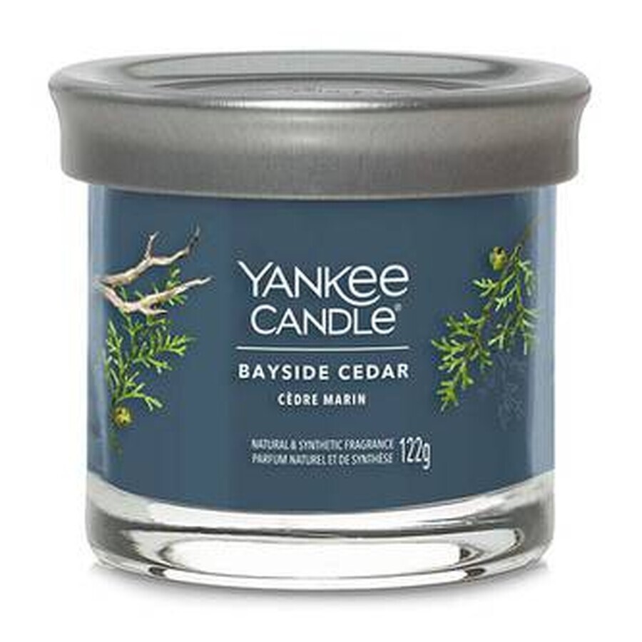 Yankee Candle Signature kleine kaars Bayside Cedar 1×122 g Bayside Cedar 1×122 g, geurkaars