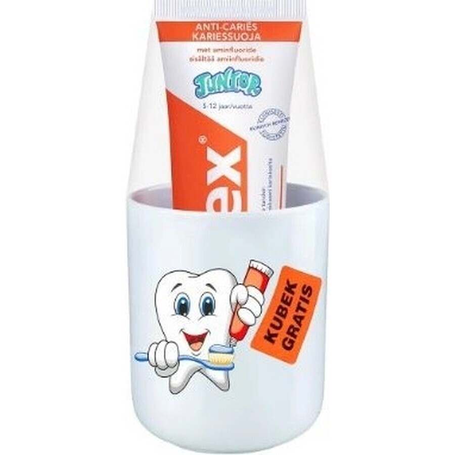 ELMEX JUNIOR TOOTH PASTE 1×75 ml, toothpaste for children