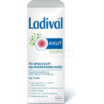 LADIVAL Akut Face Serum 1×50 ml, after sunbathing face serum