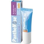 Dr. Müller PantheNose NOSE NOSE Ointment 1×7.5 ml for nasal relaxation