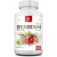 Allnature BERBERINE extract 98% 500 mg 1×60 cps, voedingssupplement