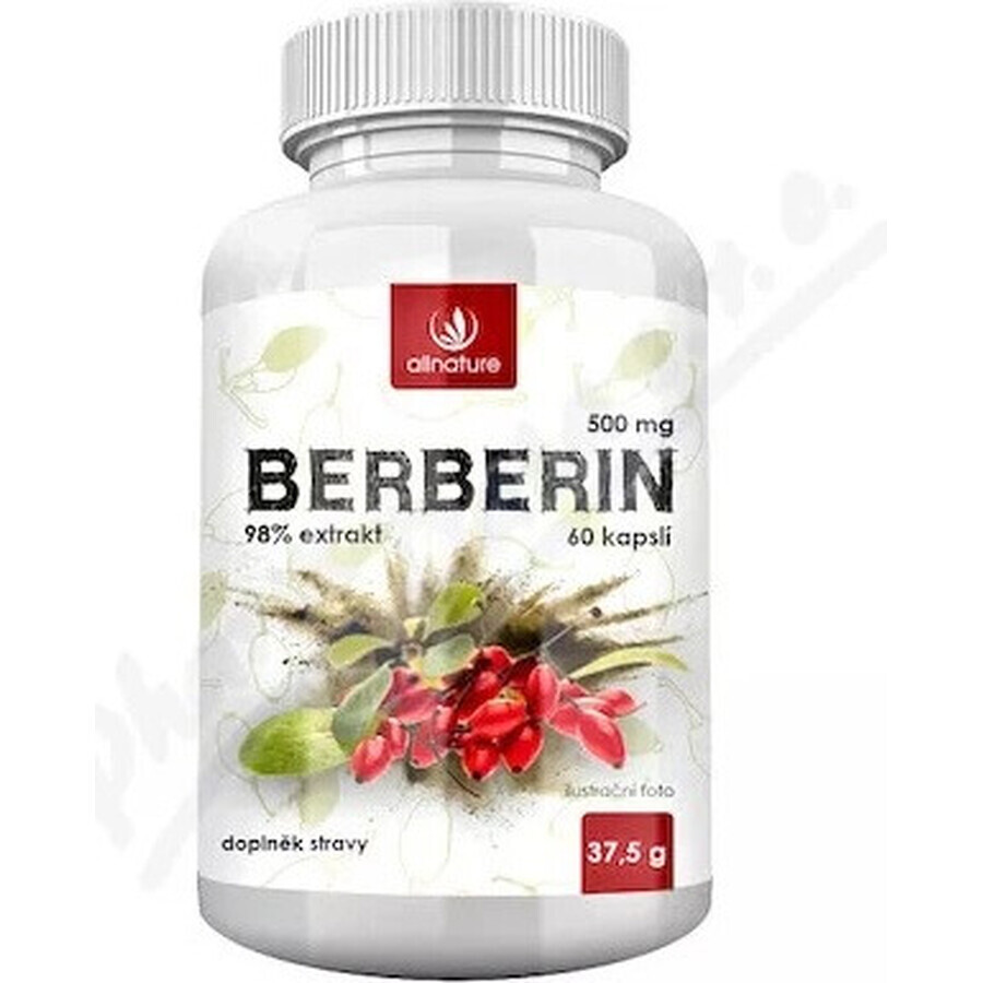 Allnature BERBERINE extract 98% 500 mg 1×60 cps, voedingssupplement