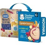 Gerber Natural Milk Porridge Weizen-Hafer 1×220 g, Himbeere und Banane (ab 6 Monaten)