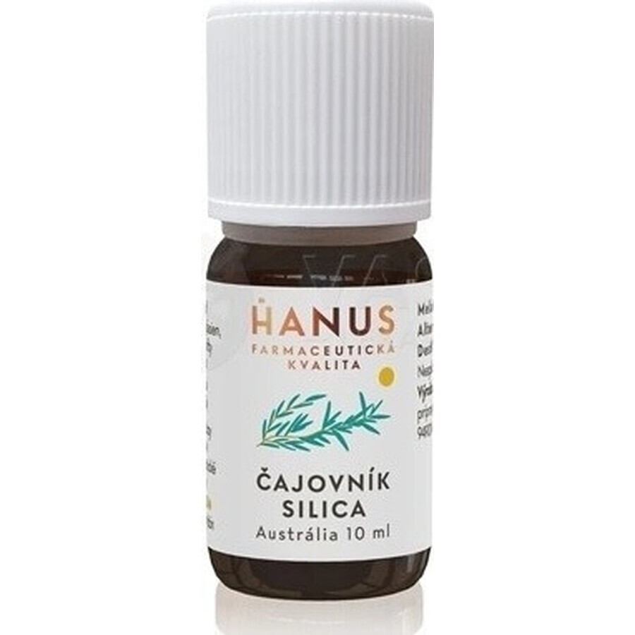 HANUS SILICA TEA TUB 1×10 ml, huile