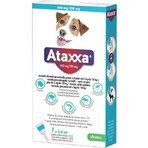 Ataxxa 500 mg/100 mg (honden van 4 kg tot 10 kg) 1×1 ml, oplossing voor honden