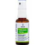 WELEDA Calendula Spray 1×75 ml