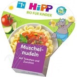 HIPP BIO Nudeln mit Tomaten und Zucchini 1×250 g, Babynahrung