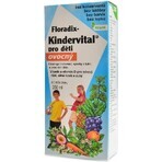 SALUS Floradix Kindervital fruity 1×250 ml, herbal syrup