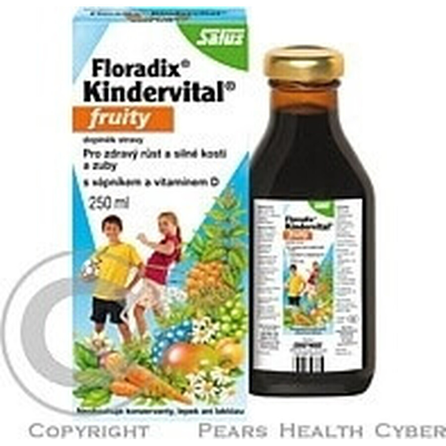 SALUS Floradix Kindervital fruity 1×250 ml, herbal syrup