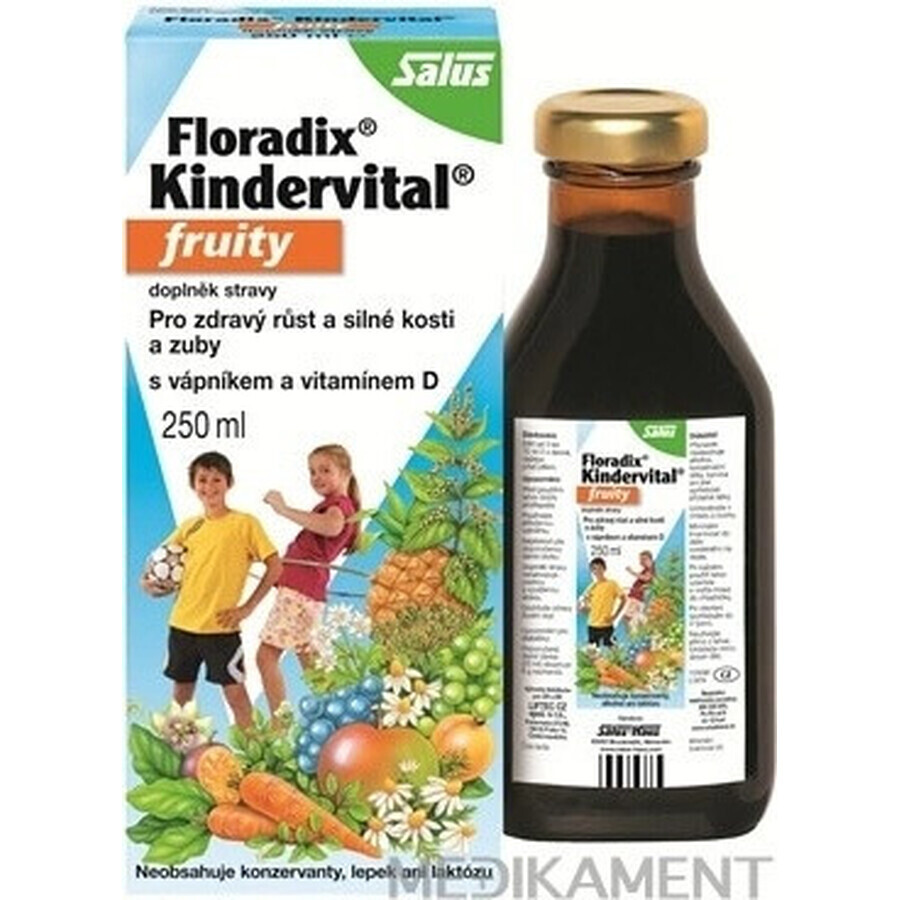 SALUS Floradix Kindervital fruity 1×250 ml, herbal syrup