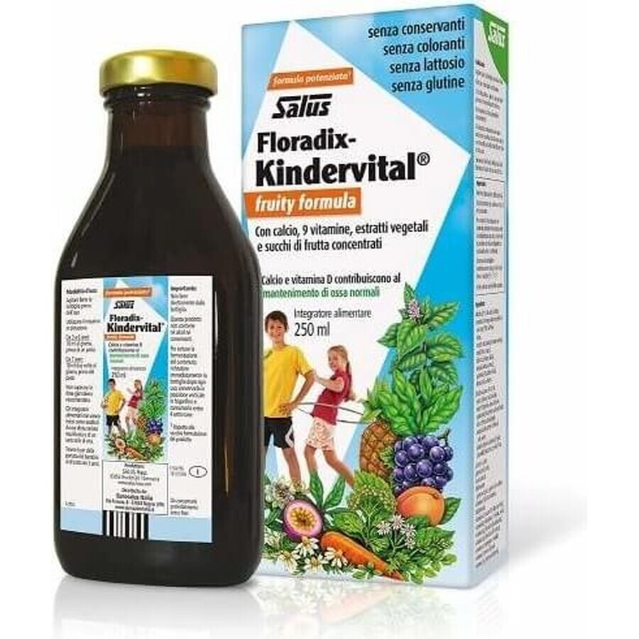 SALUS Floradix Kindervital fruity 1×250 ml, herbal syrup