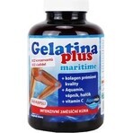 TEREZIA Gelatin Plus 1×360 cps, joint nutrition