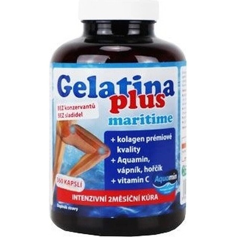 TEREZIA Gelatin Plus 1×360 cps, joint nutrition