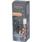 Bolsius True Glow Geurverspreider Winterwoods Winterwoods geurstokjes 1×45 ml, huisgeur