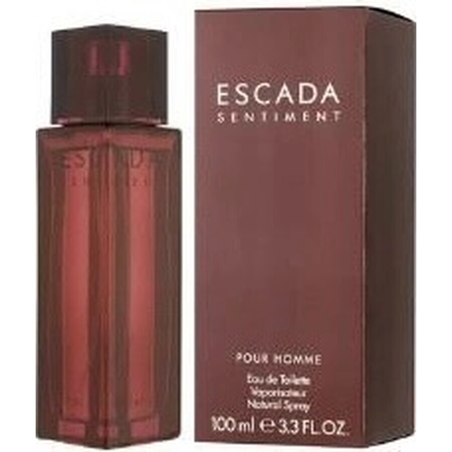 Escada Sentiment Pour Homme Edt 100ml 1×100 ml, Eau de toilette