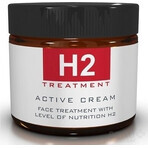 H2 TREATMENT ACTIVE CREAM 1×60 ml, cremă de față activă