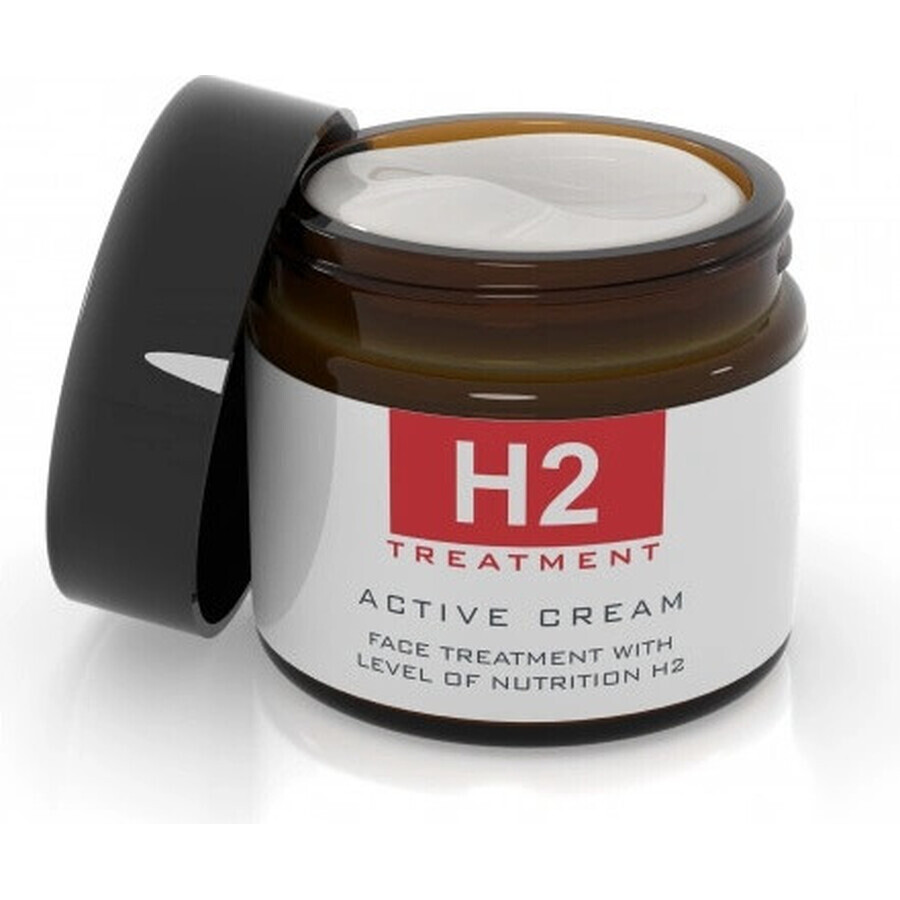 H2 TREATMENT ACTIVE CREAM 1×60 ml, cremă de față activă