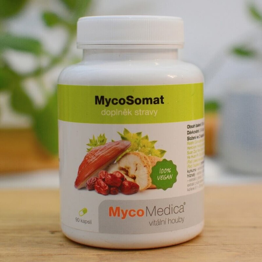 Mycomedica Mycosomat Vegan 500mg 90cps 1×90 cps