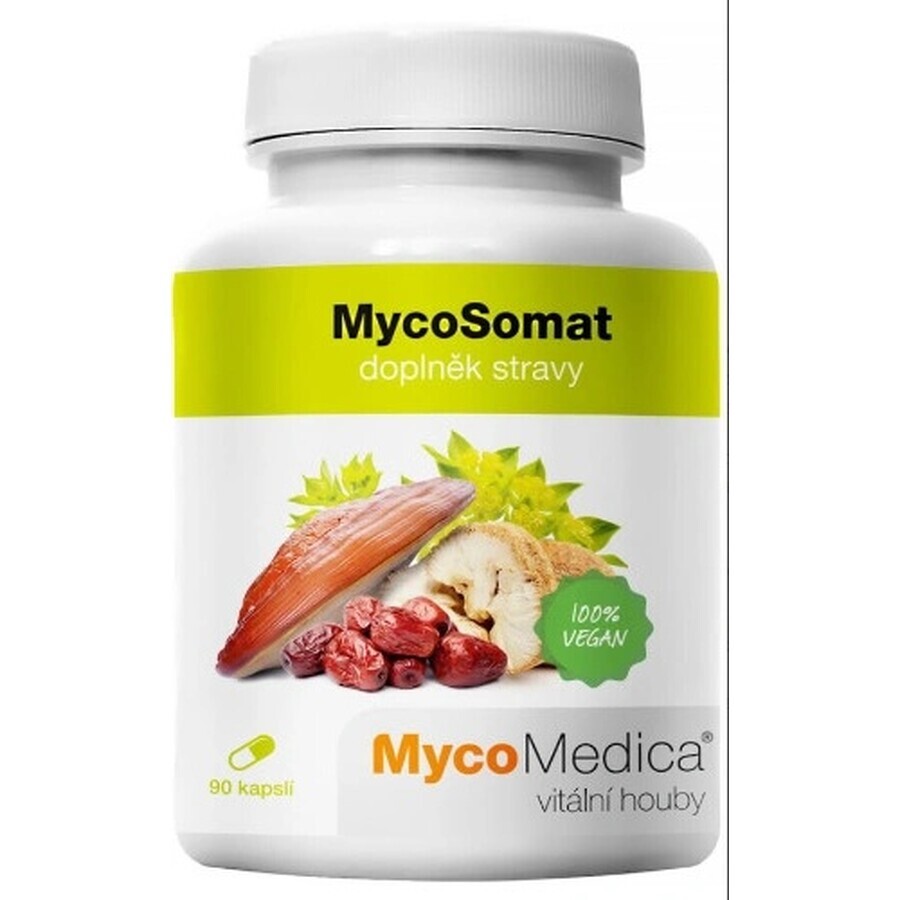 Mycomedica Mycosomat Vegan 500mg 90cps 1×90 cps