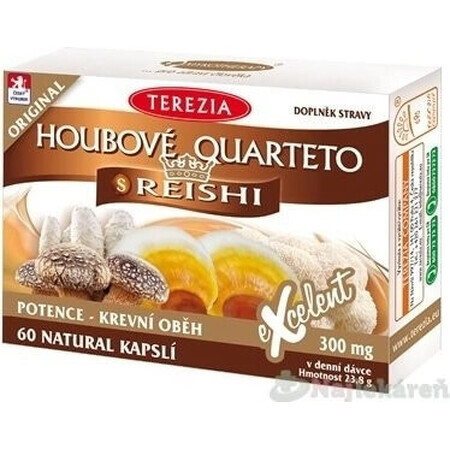 TEREZIA Mushroom QUARTETO with REISHI 60 1×60 cps, food supplement