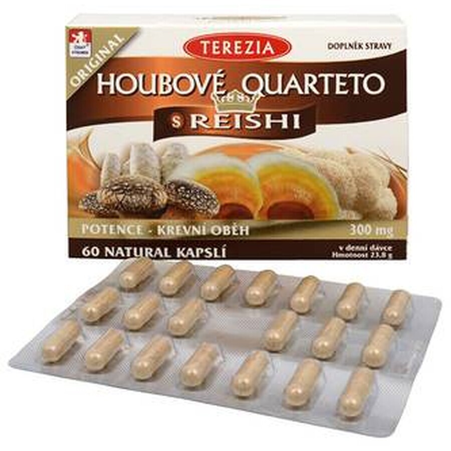 TEREZIA Mushroom QUARTETO with REISHI 60 1×60 cps, food supplement