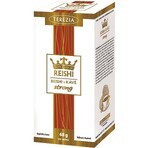 TEREZIA REISHI IN COFFEE strong 20×3.4 g, sachets