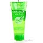 ALPA LESANA GEL 1×100 ml, kruidengel