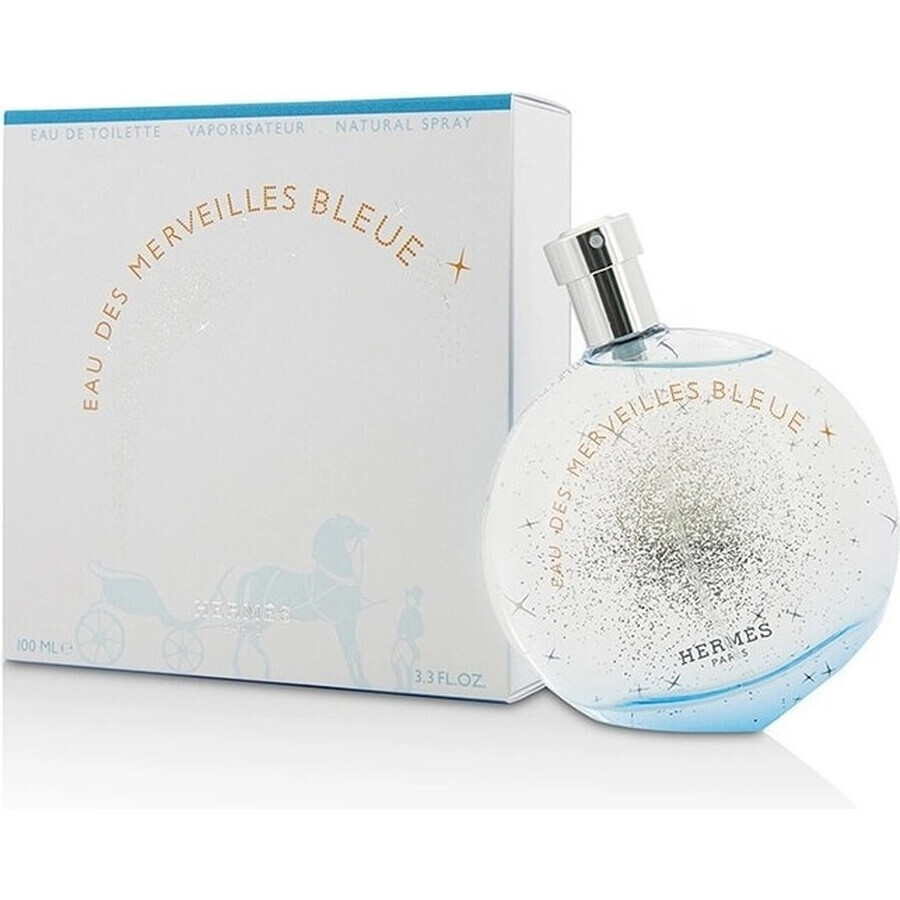 Hermes Eau Des Merveilles Bleue Eau Des Merveilles Edt 100ml 1×100 ml, eau de toilette