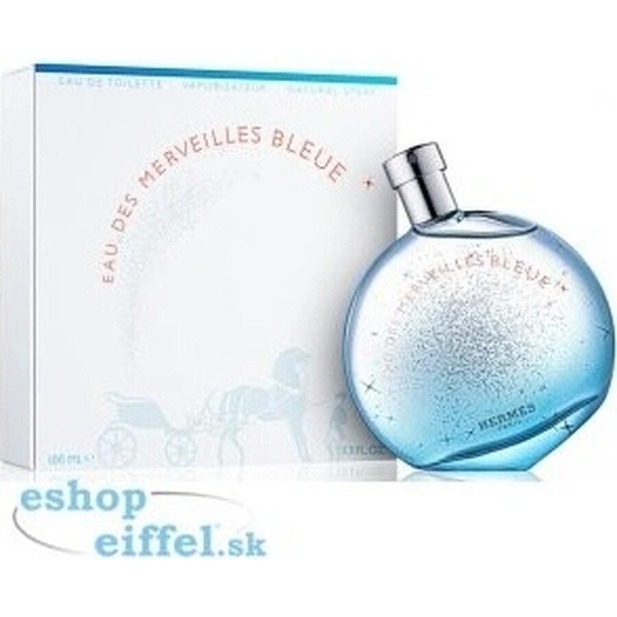 Hermes Eau Des Merveilles Bleue Eau Des Merveilles Edt 100ml 1×100 ml, eau de toilette