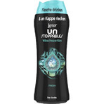 Lenor Unstoppable Unstoppable 285g Fresh 1×285 g, geparfumeerde kralen