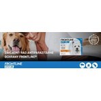 FRONTLINE spot-on for DOG S 3 x 0,67 ml 3x0,67 ml 3x0,67 ml, oplossing voor honden