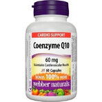 WEBBER NATURALS Co-enzym Q10 60 mg 1×60 cps, voedingssupplement