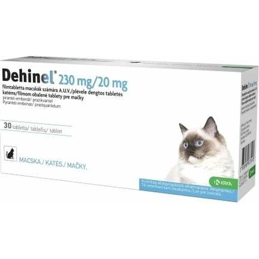 DEHINEL 230 mg/20 mg für Katzen 1×30 tbl, Arzneimittel