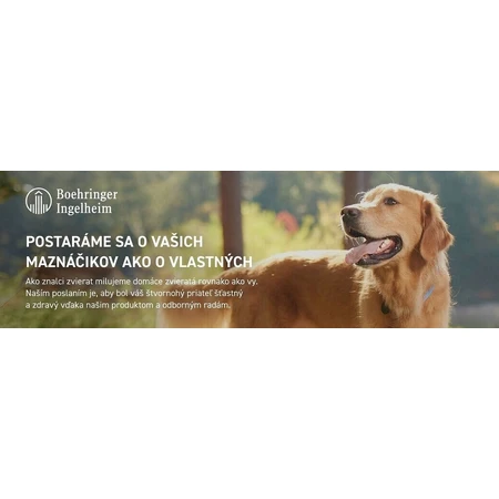 FRONTLINE COMBO spot-on for DOG M 3 x 1,34 ml 3x1,34 ml, oplossing voor honden